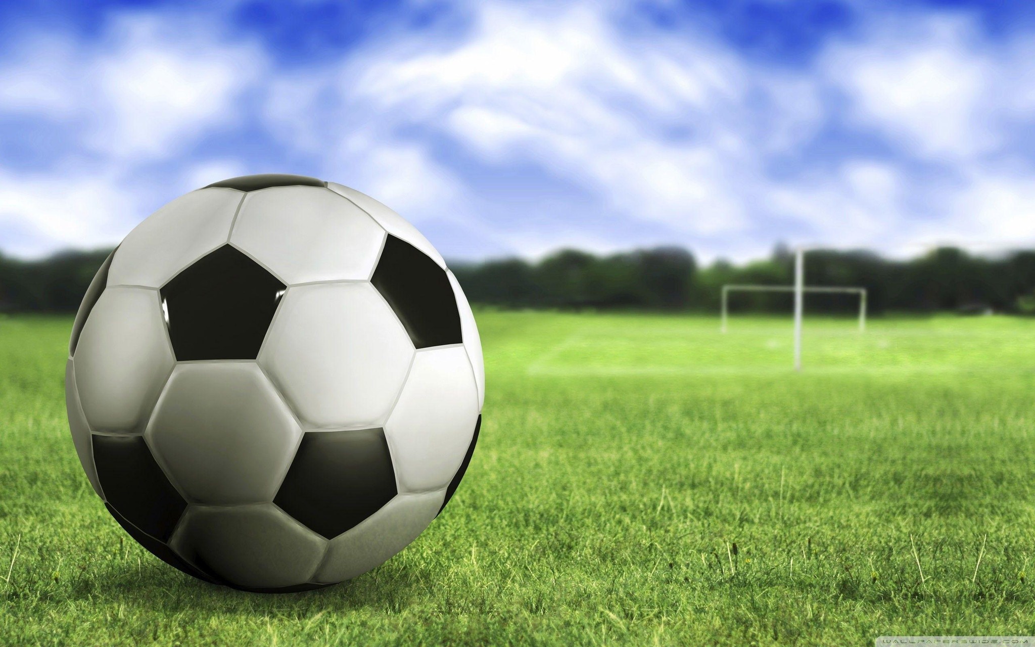 PPP Leagues & Tournaments | Sandy Spring MD