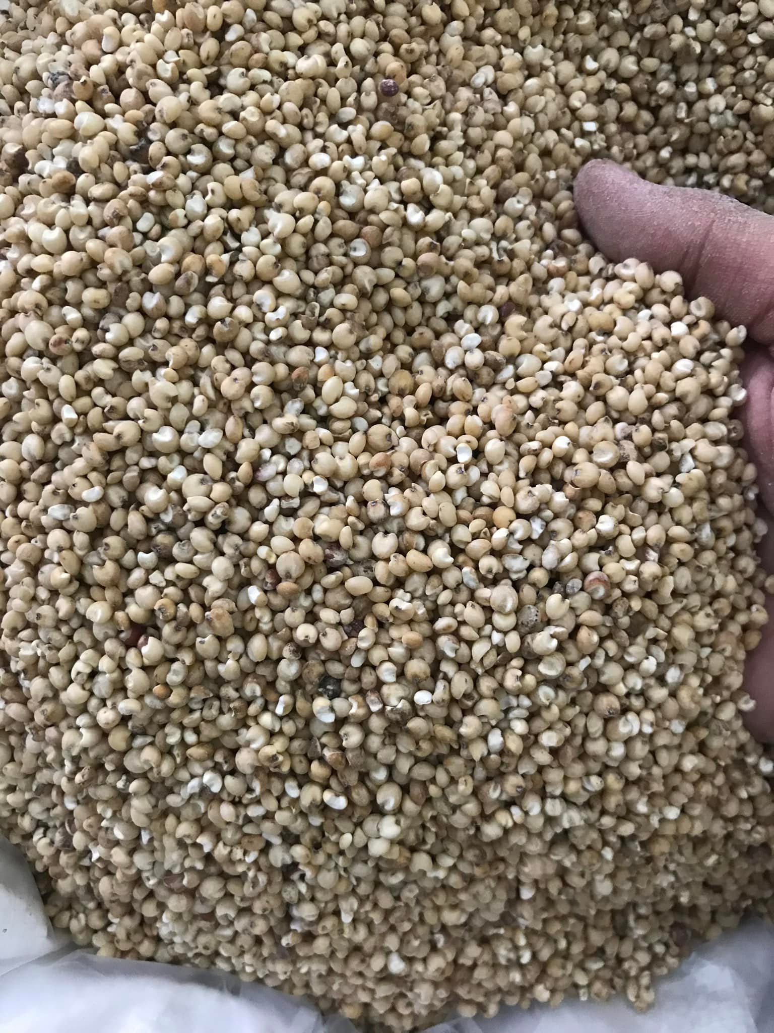 Samuh Agro Lestari