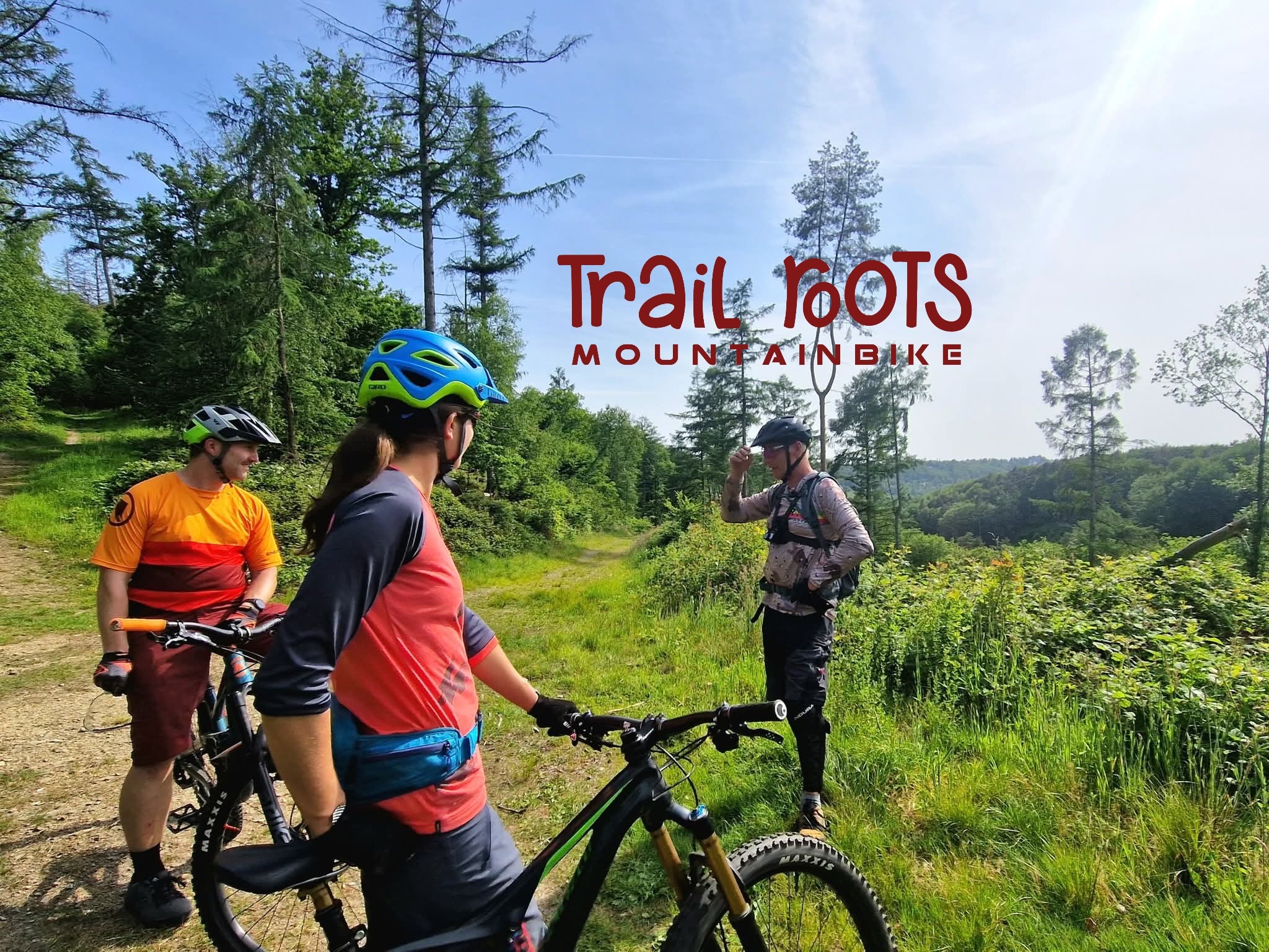 MTB Trail Roots