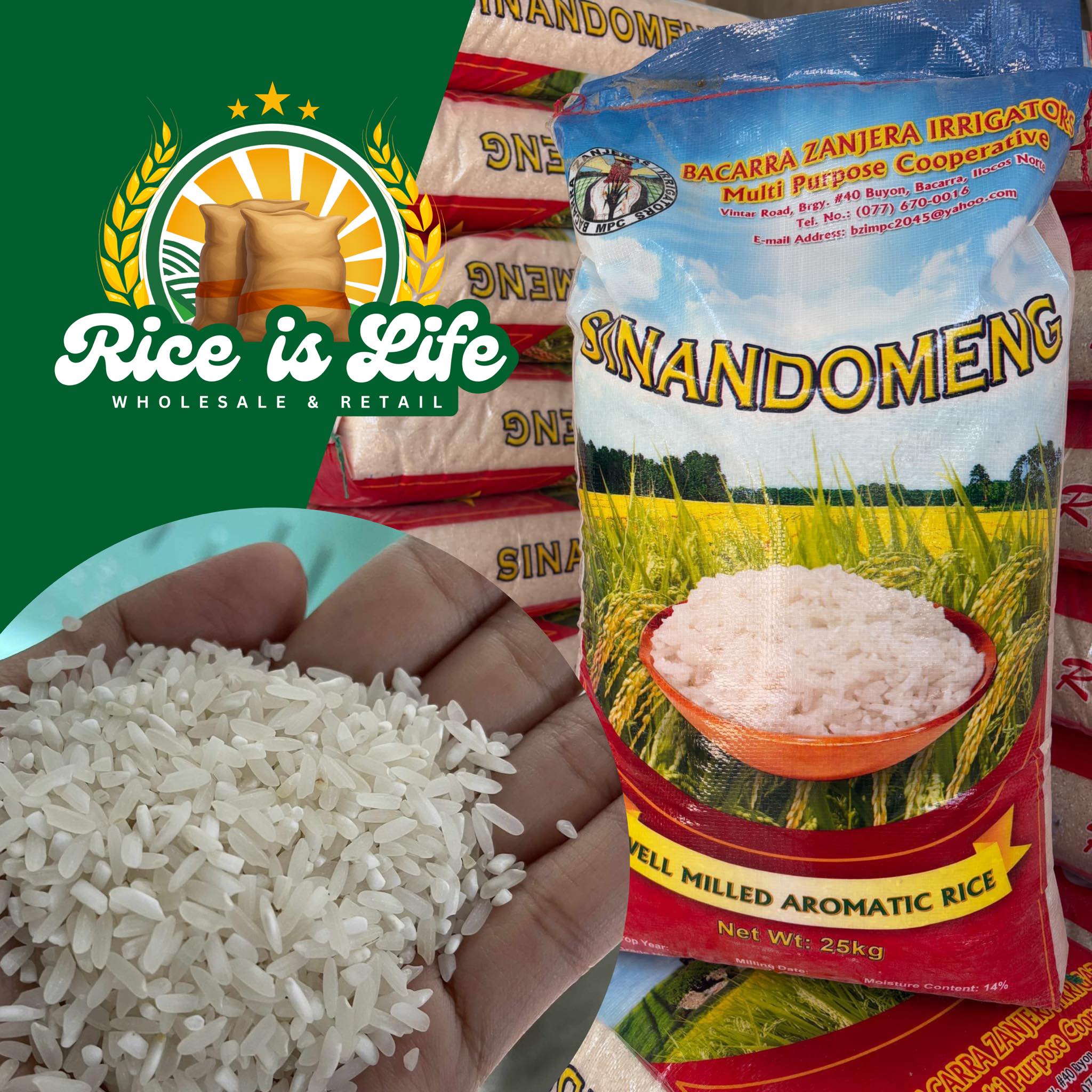 Rice is Life | Bacarra