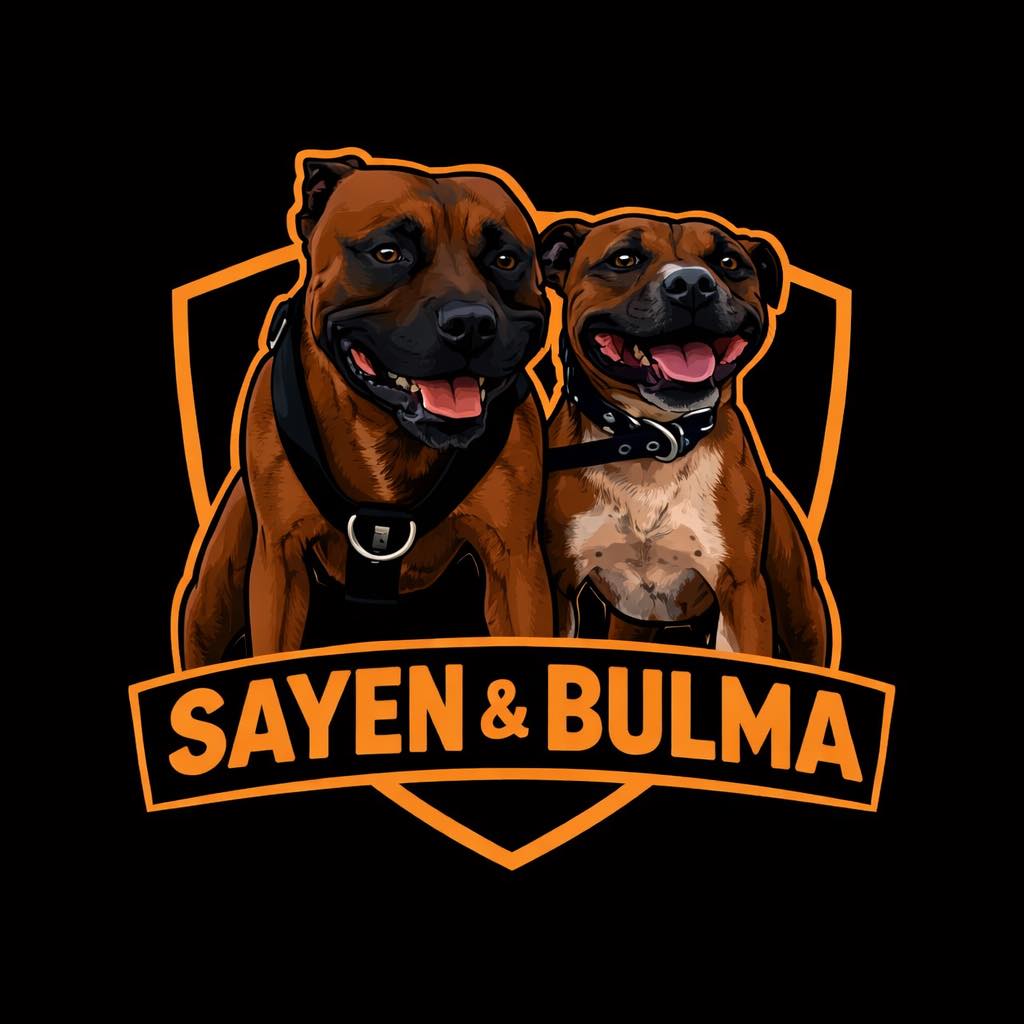 Définition du staffie : pot de colle te suis même au toilettes 🚽 😂 # ...
