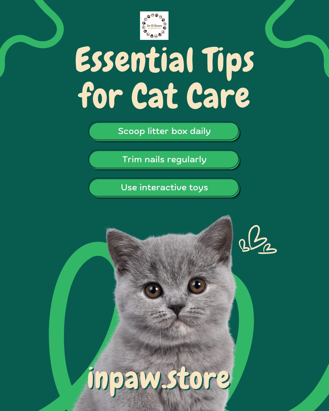 Inpaw.store - 🐱 Cat Care Routine: 3 Simple Habits for a... | Facebook