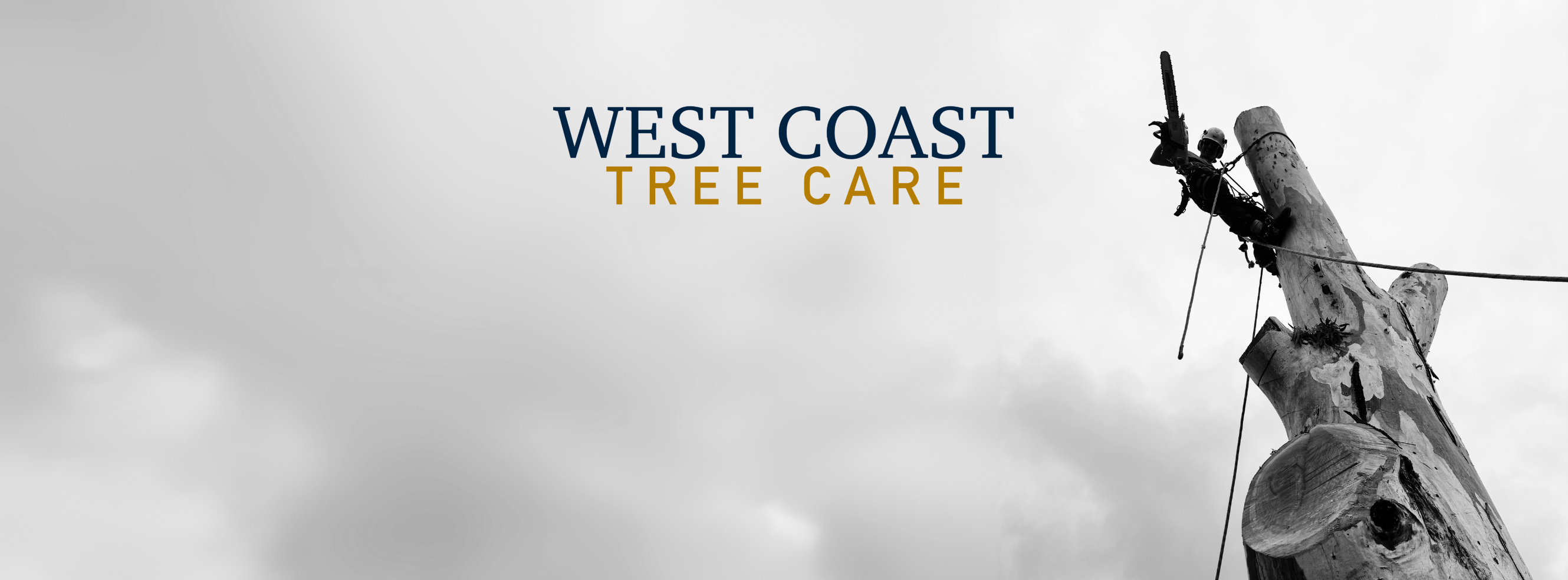 West Coast Tree Surgeons added... - West Coast Tree Surgeons