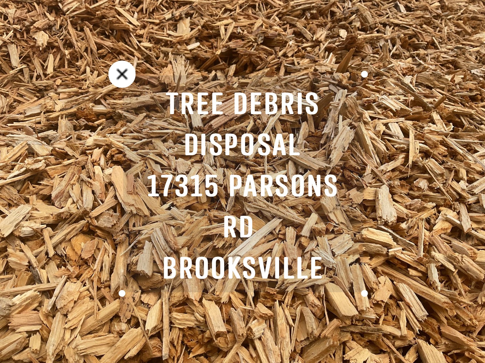 Stardust Ranch | Brooksville FL
