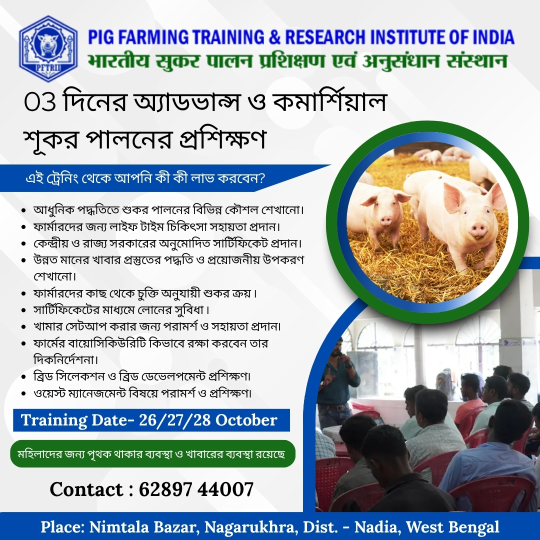 Pig - 🚜🐖 PIG FARMING TRAINING & RESEARCH INSTITUTE OF INDIA 🐖🚜 Looking ...