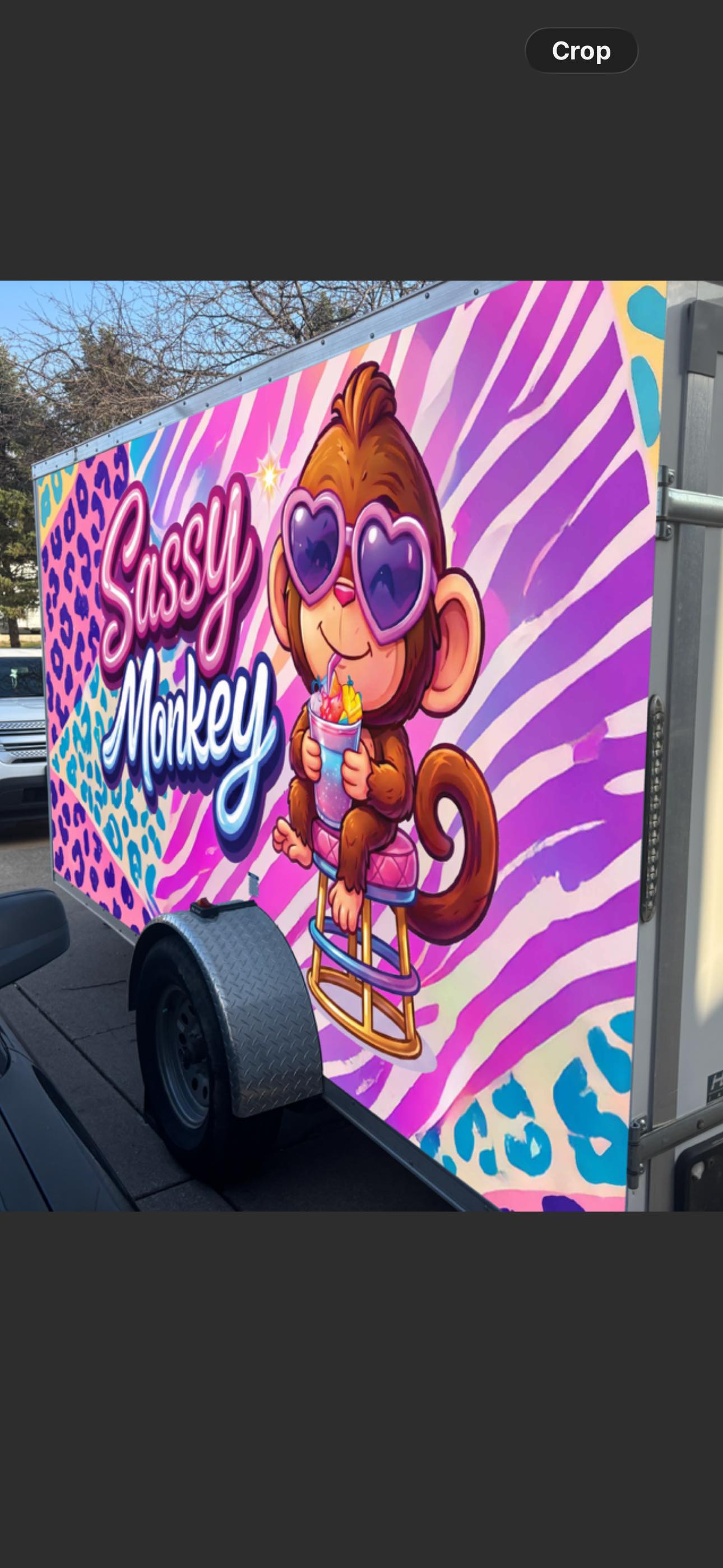 Sassy Monkey | Washington IL
