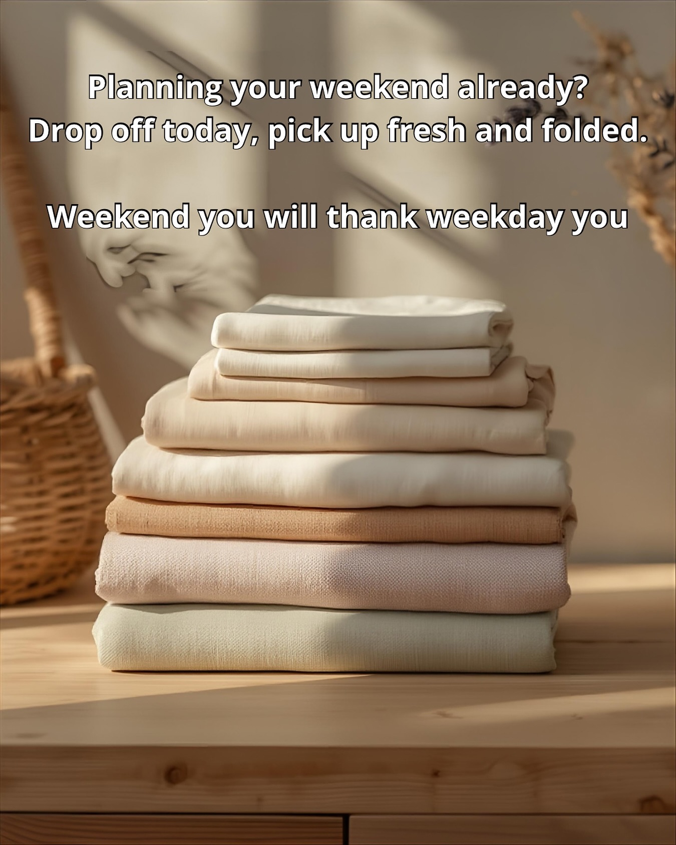 Tidy Owl Premium Laundry Services | Cainta