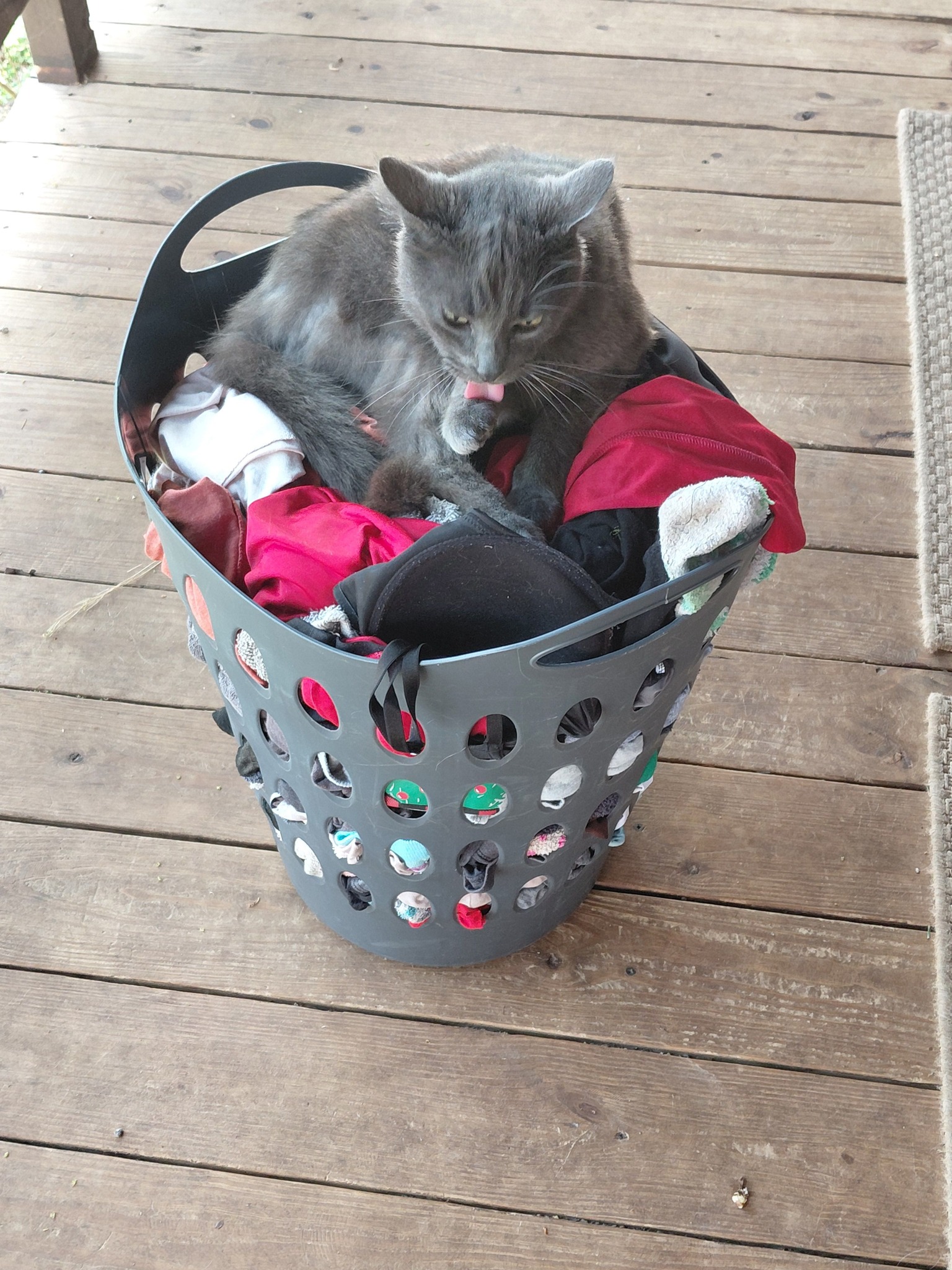 リイシューねこちゃん Grande / Light Gray リイシューねこちゃん