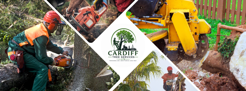 Cardiff Tree Services Ltd | Cardiff