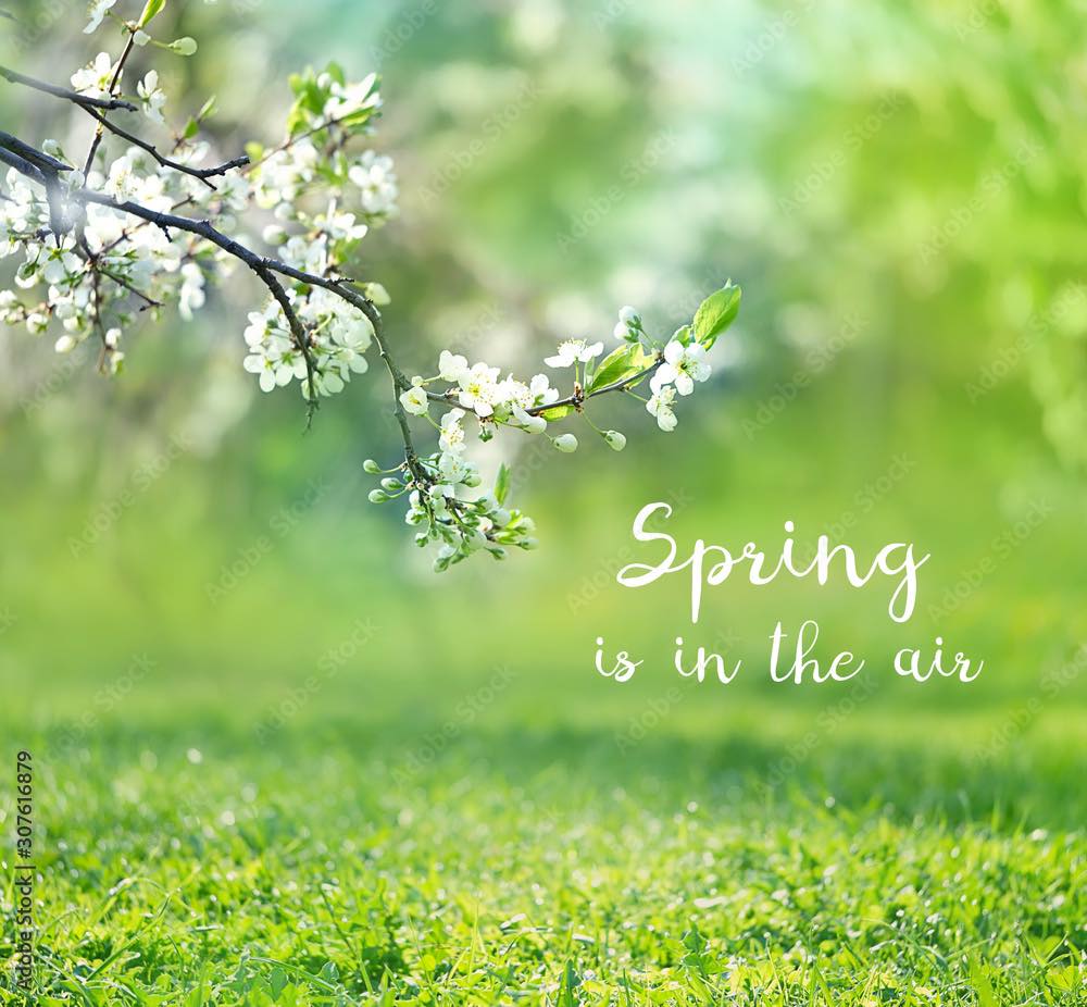 Summit - 🌷 Spring is in the air! 🌿 The warmer weather means it’s time ...