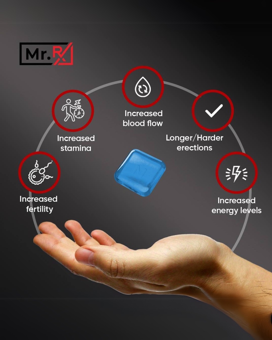 Mr.Rx