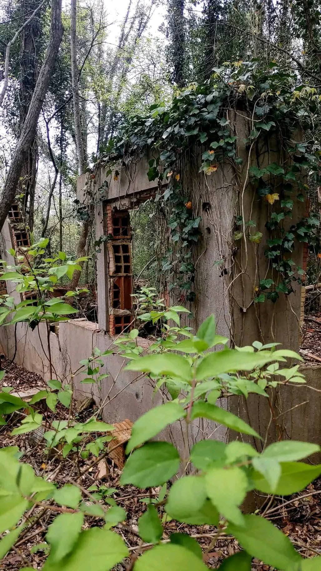Ruins of Hamilton Carhartt's Rock Hill mansion