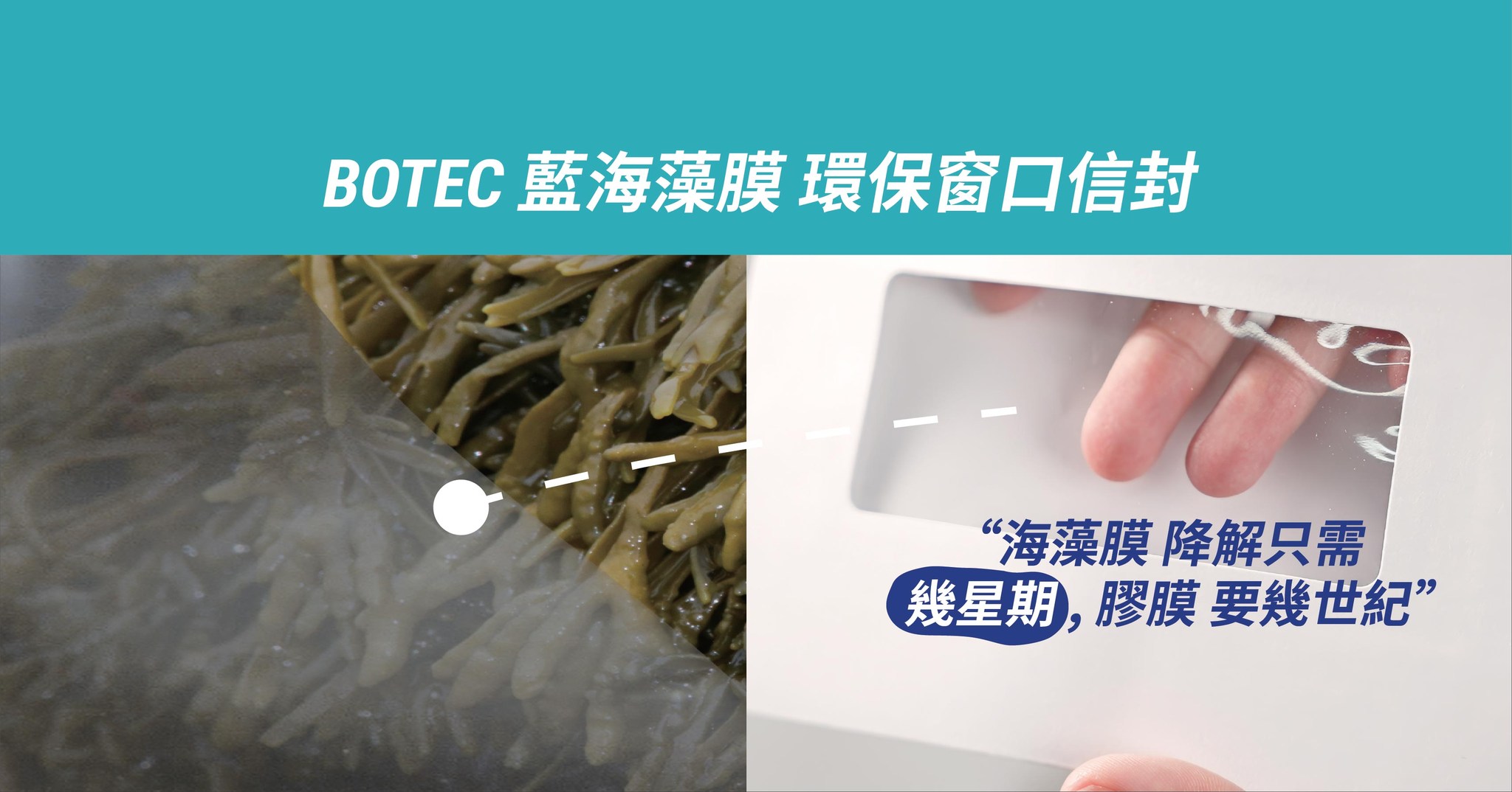 BOTEC - Seaweed, sustainable, natural film
