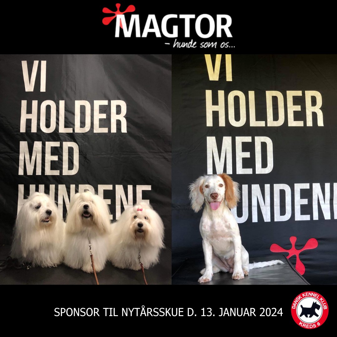 DKK Kreds 6 - Wauw vi er super glade for at kunne... | Facebook