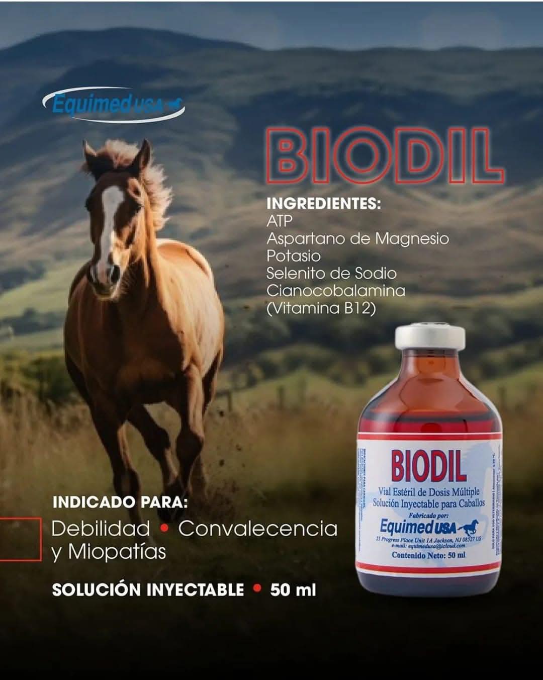 equinine b12 injection How to administer vitamin injections in horses Vitamin B12 & B feed intake booster Weight:5mg The Kaeco Equine Vitamin