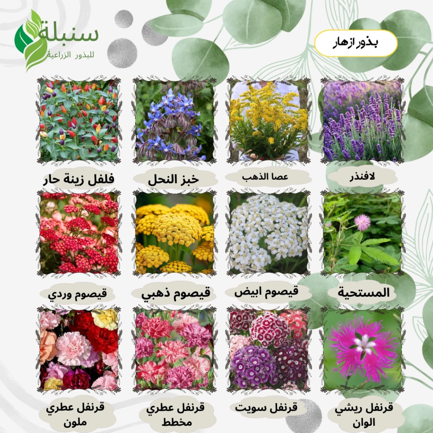 سنبلة - صفحة سنبلة للبذور الزراعية^ •تقدم لكم اجود انواع... | Facebook