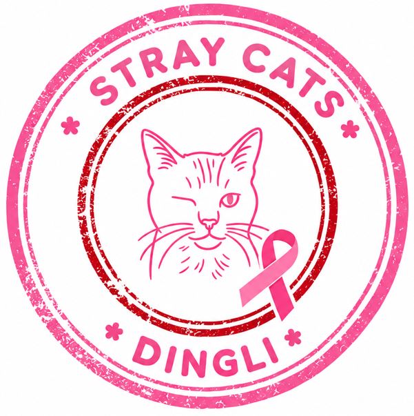 A big cuddle 🤗 after the big rain ⛈️ !! - Dingli Stray Cats | Facebook