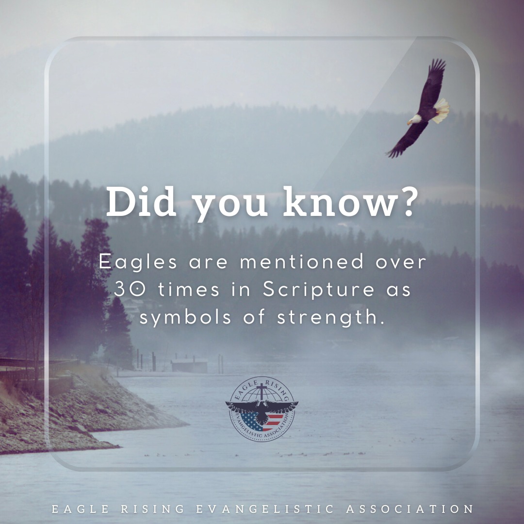 Eagle - Did You Know? Eagles are mentioned over 30 times in Scripture ...