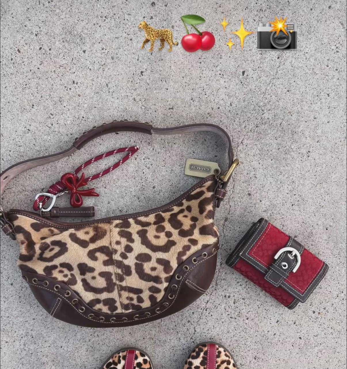 ISO!! Coach Soho leopard-print haircalf and brown leather hobo