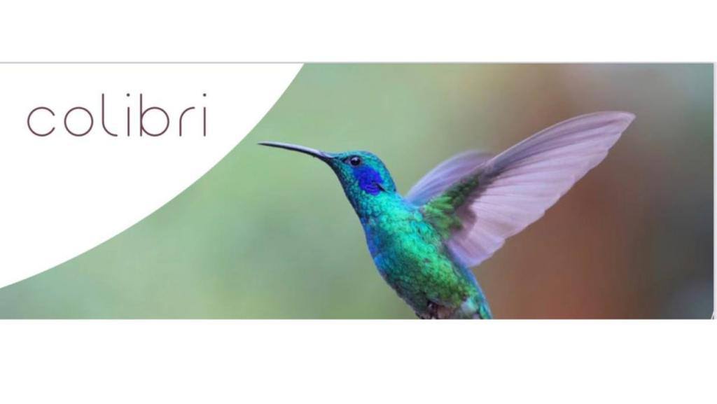 Project Colibri | Los Angeles CA