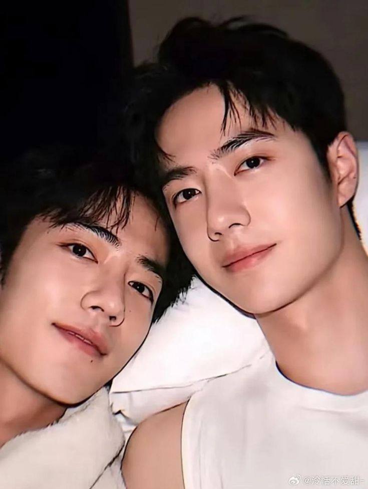 せきせいくうさん　専用　王一博 肖战 YiBo XIAOZHAN せきせいくうさん 専用 王一博 肖战 YiBo XIAOZHAN One year, BJYX was
