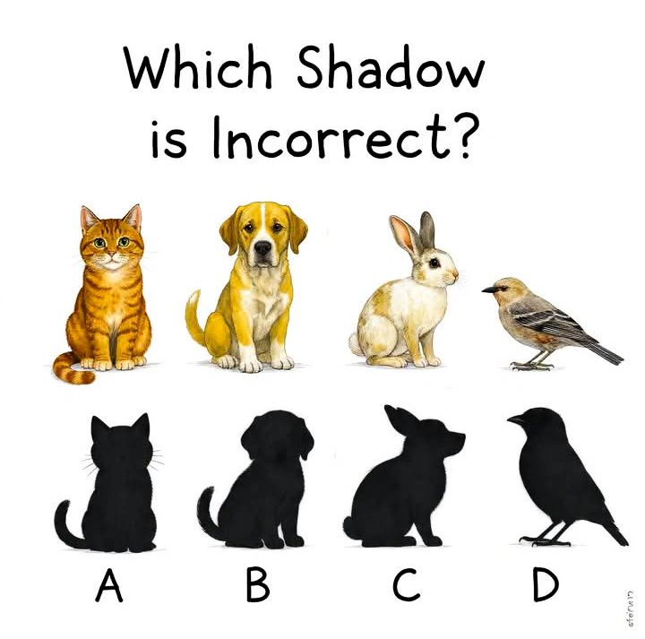Smart - Which shadow is incorrect? | Facebook