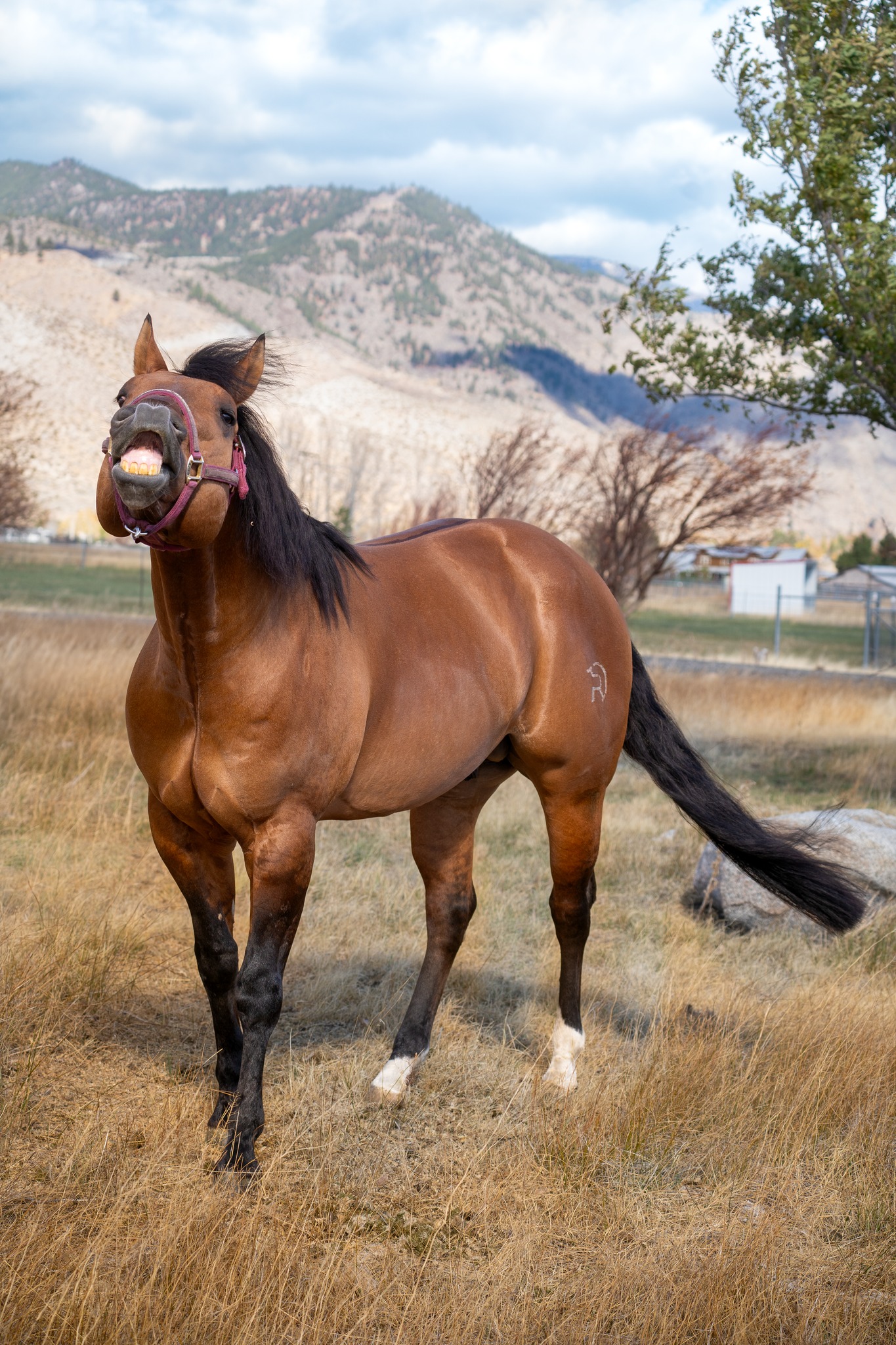 Running River Ranch LLC | Genoa NV