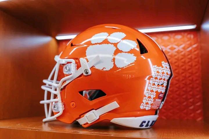 clemson football helmet paws Award Decals Paw Orange Sticker 100 1
