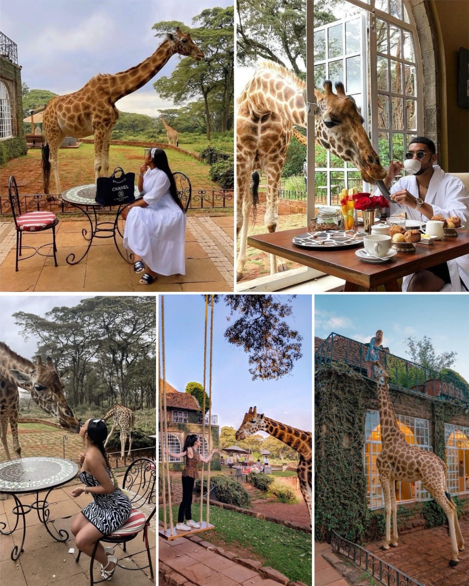 Staying at Giraffe Manor Hotel in... - Best places to travel | Facebook