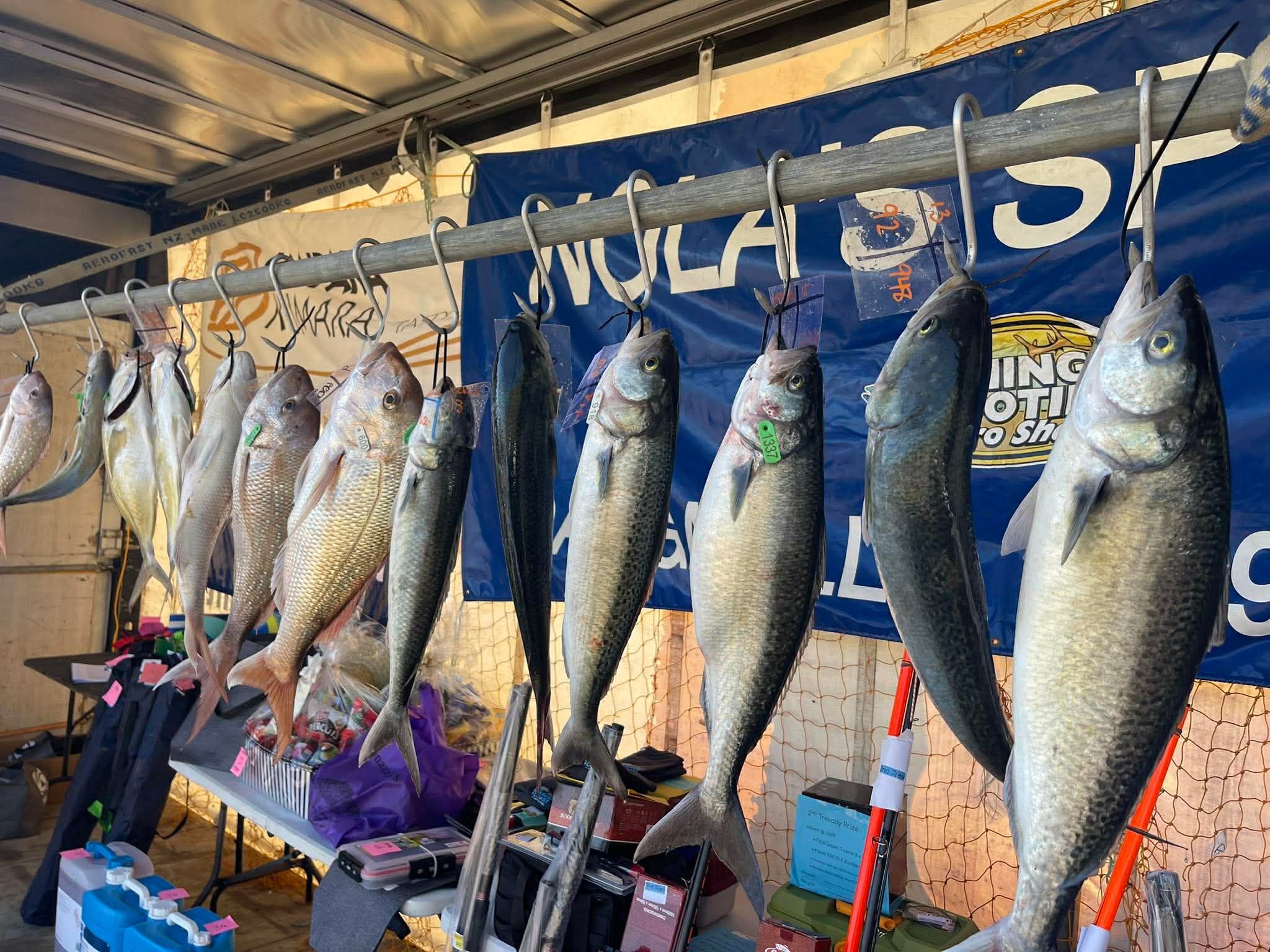 Kauri Coast Fishing Contest