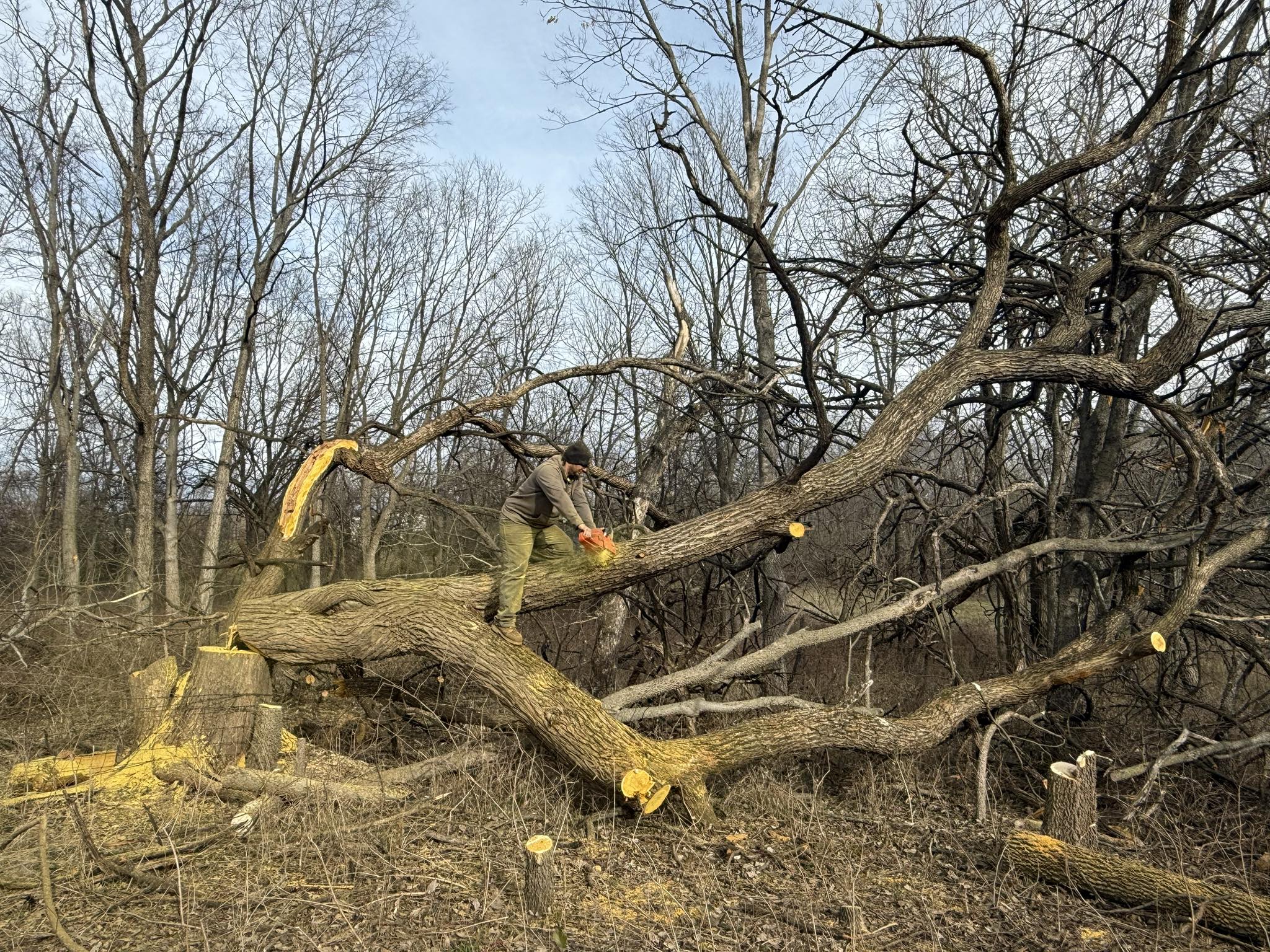 Larrison Acres | Leeton MO