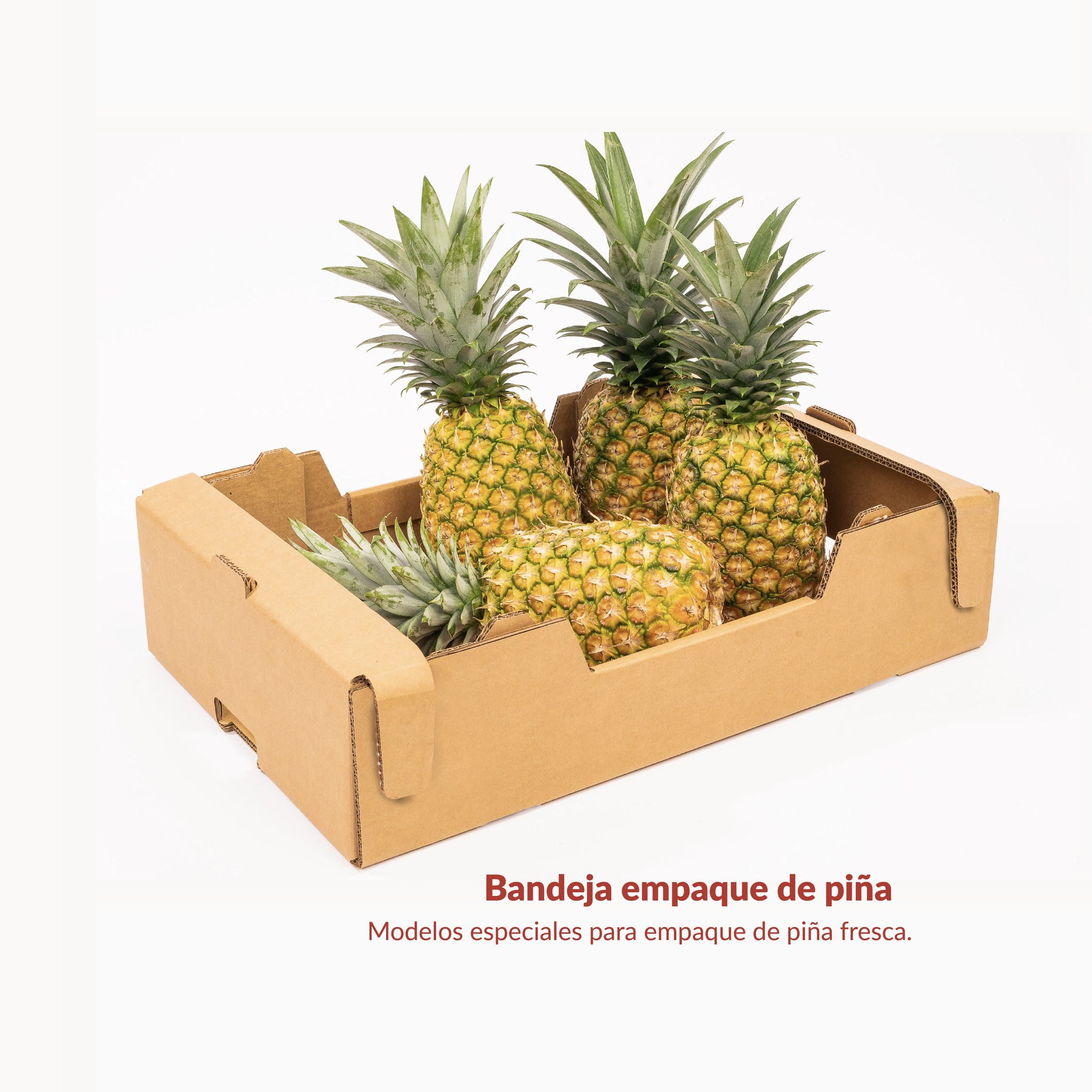 Codela - Corrugados del Atlántico