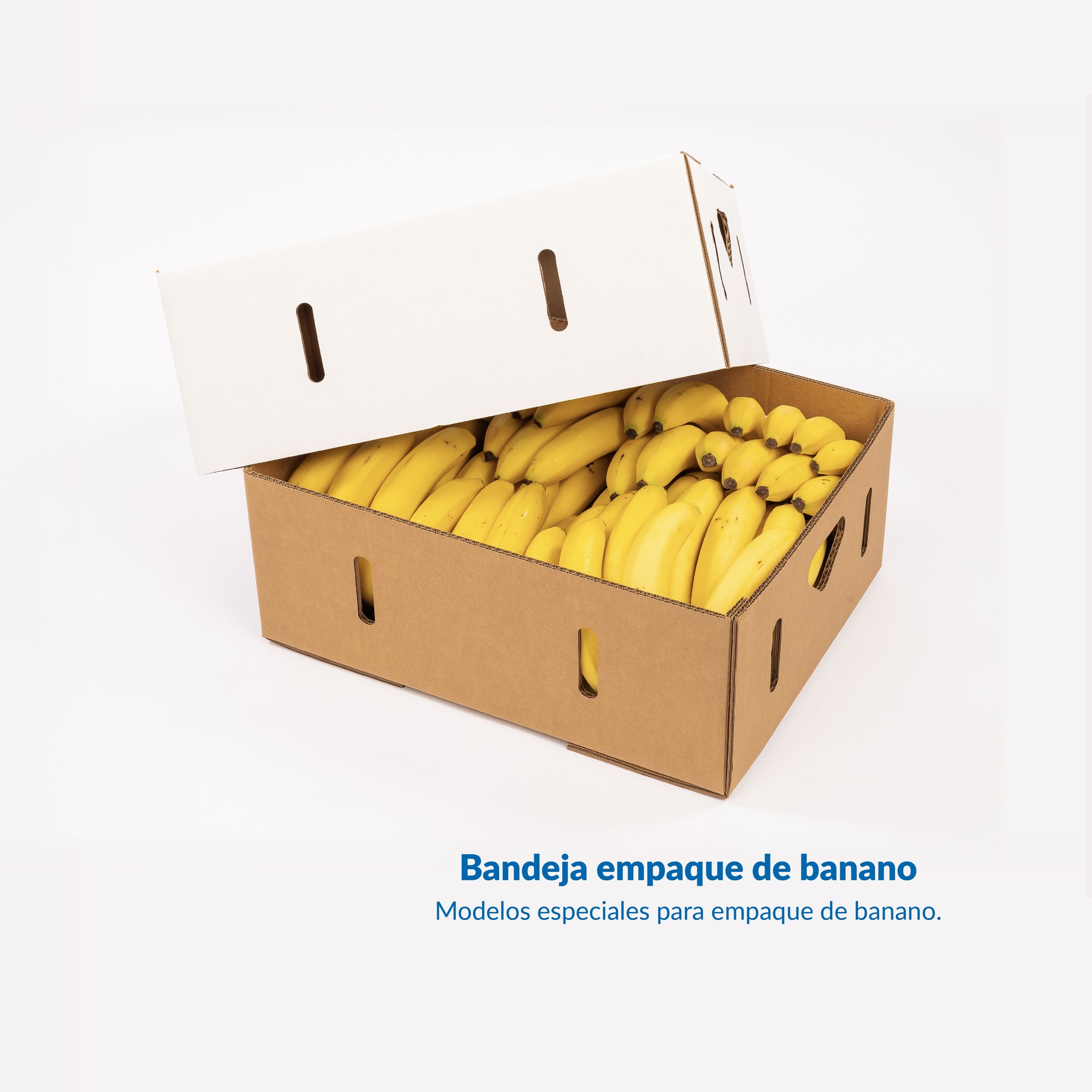 Codela - Corrugados del Atlántico