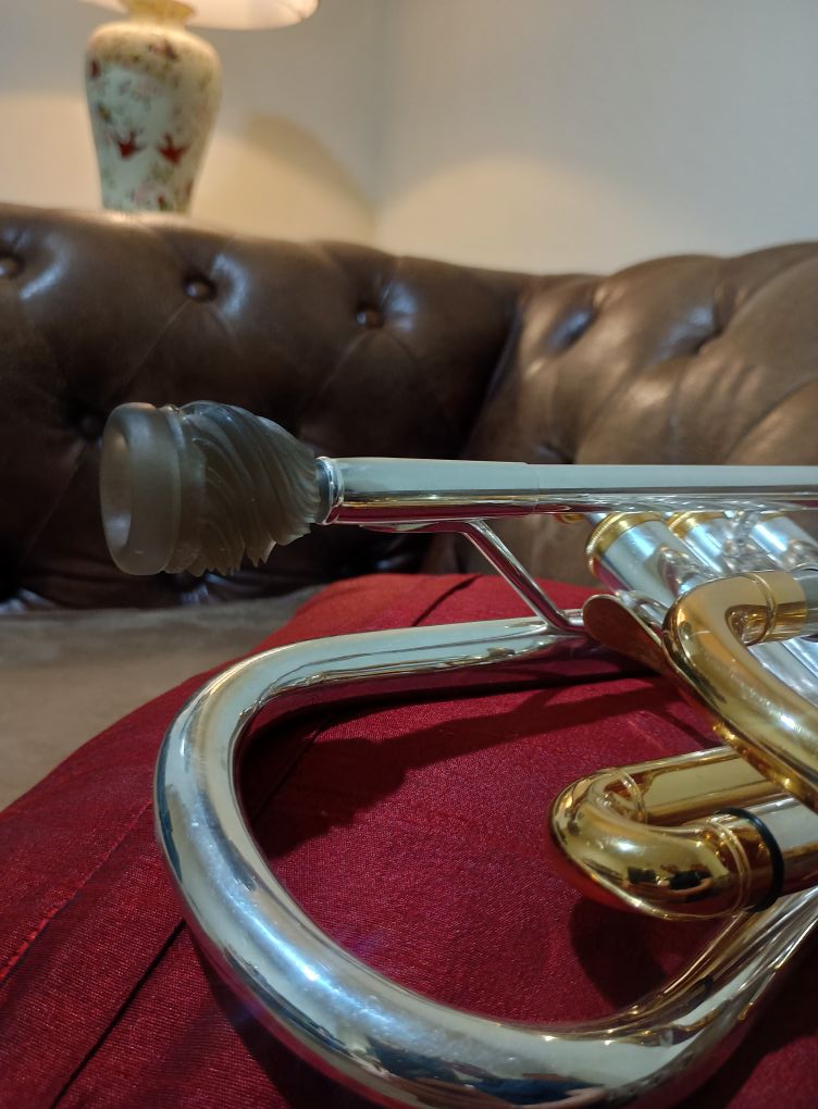 📯 Introducing the CE1 Mouthpiece, now available @brunotilz