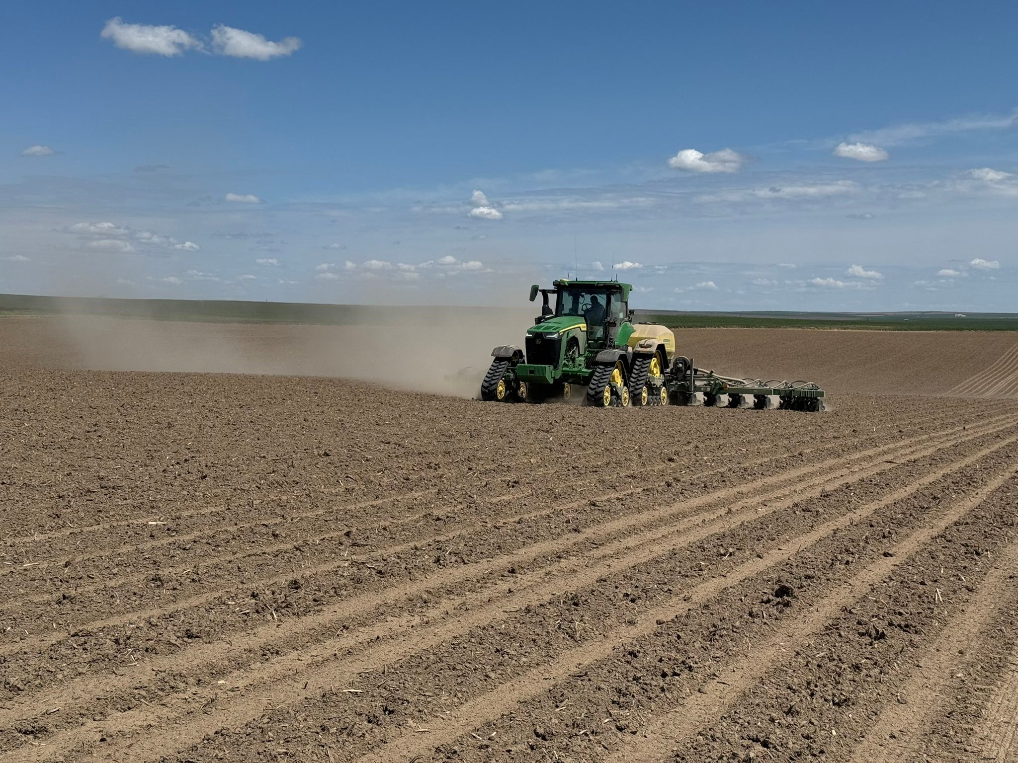 SoilTerra LLC - Today marked the commencement of marigold... | Facebook