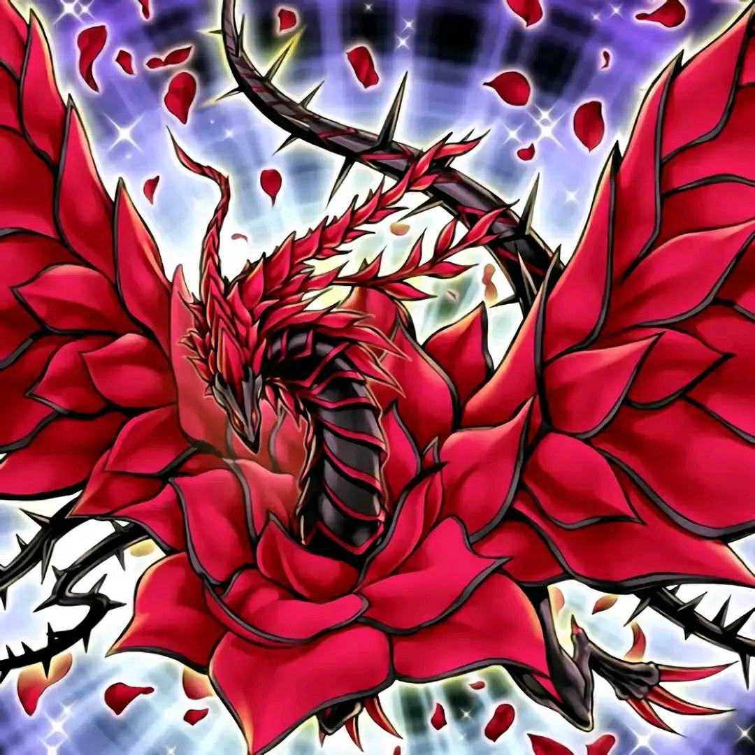 yugioh duelist of the roses dragon deck Yu-Gi-Oh Duelists Choose your side in the final Rose War in England and fight to collect the opposing armys rose cards and overthrow the enemy Deck Recipe: "Rose Dragon" 