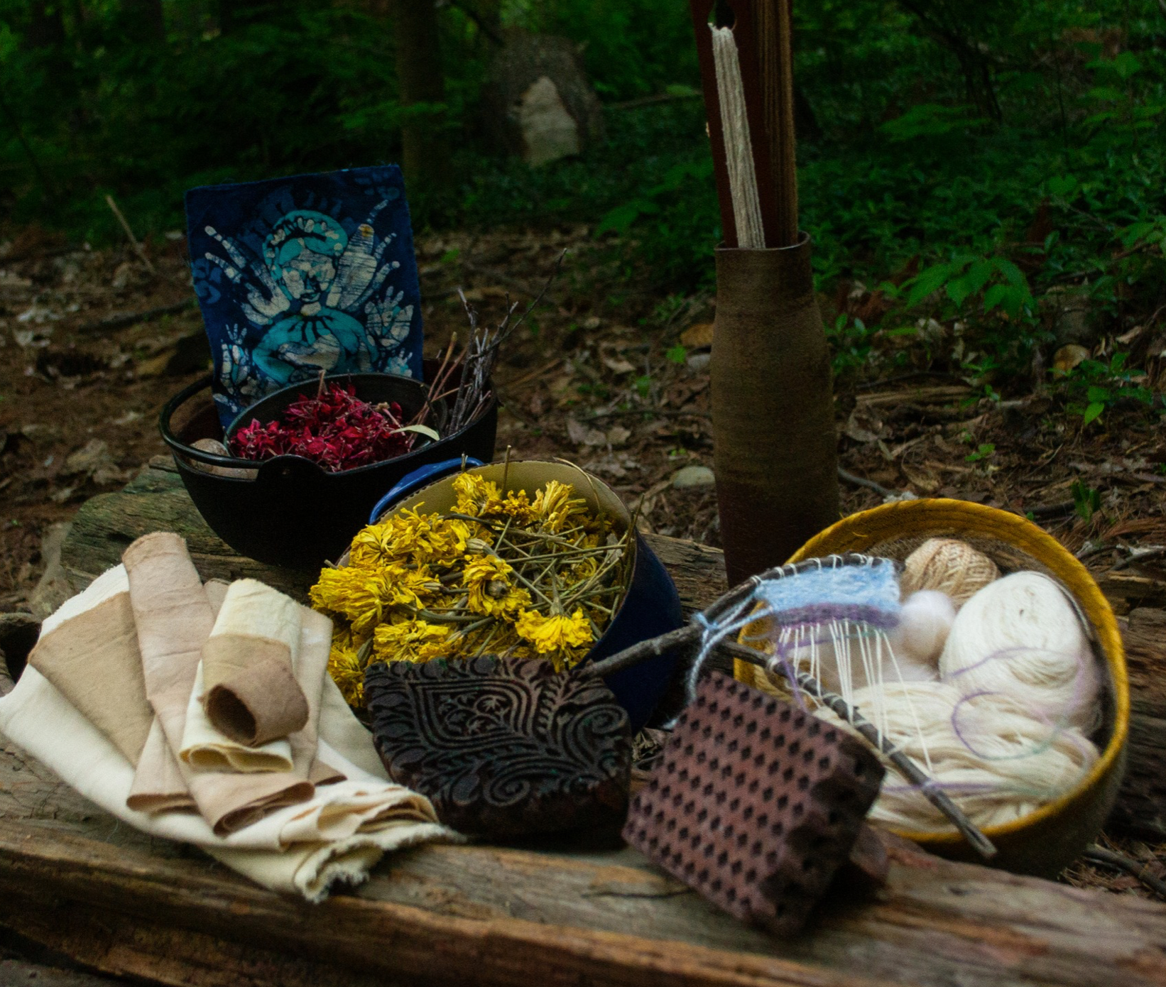 Fiddleheads Forest & Art Camp