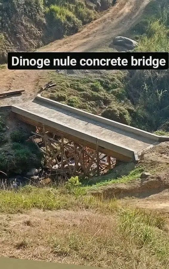 what does dsip mean in construction Why is the Dinoge Nule Bridge Sinasina Yongomugl so prone to collapse? Format:Ltd. Ed. 7