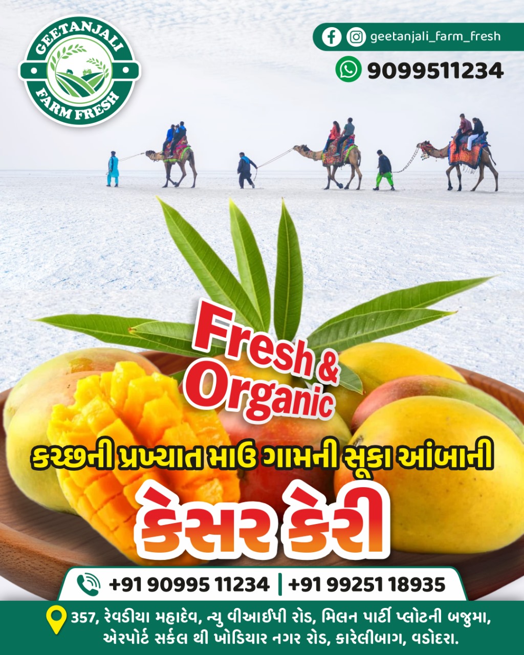 Geetanjali - Taste The Delicious Kesar Mangoes From Mau Village Of ...