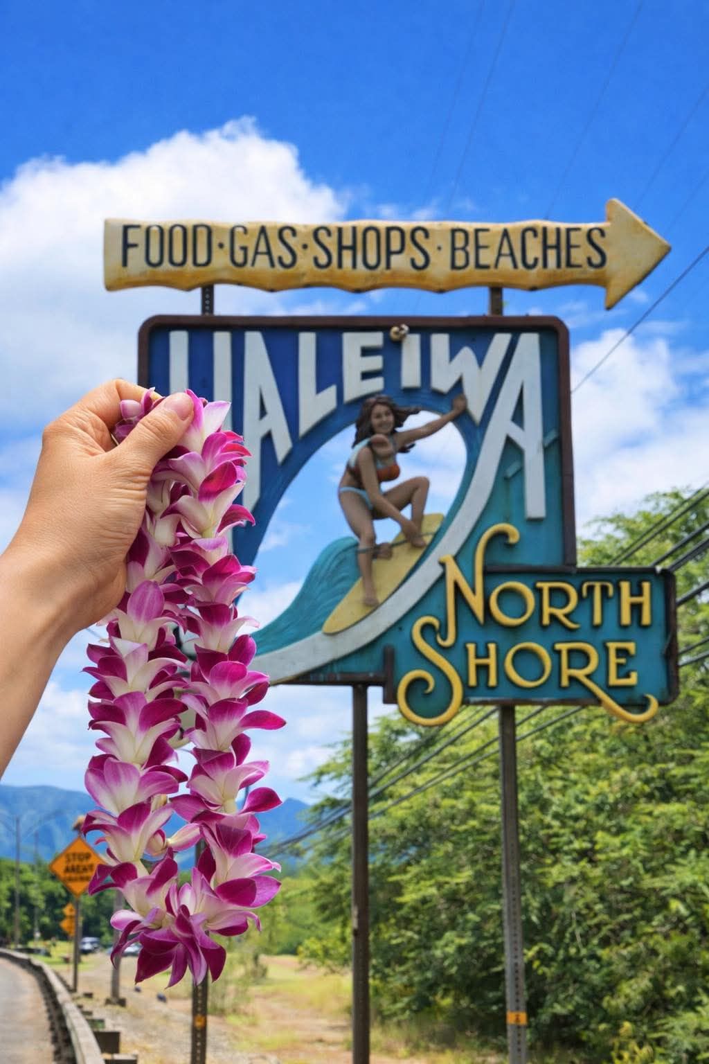 North Shore sign embodies classic Hawaii surf vibe