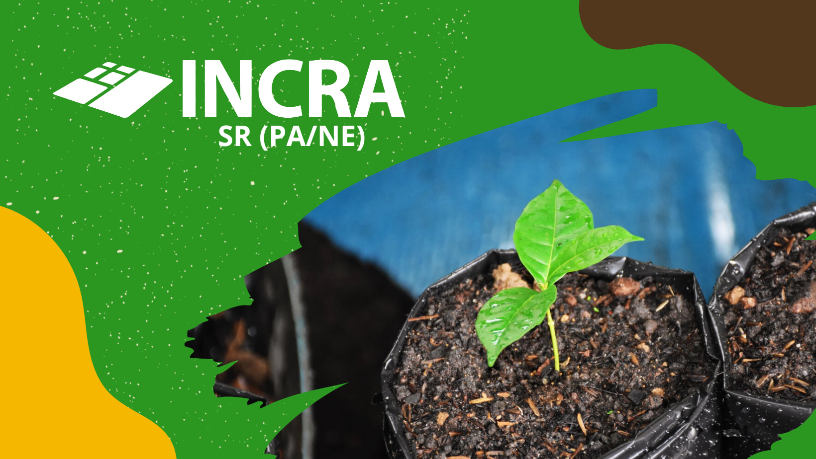 INCRA Nordeste do Pará | Belém PA