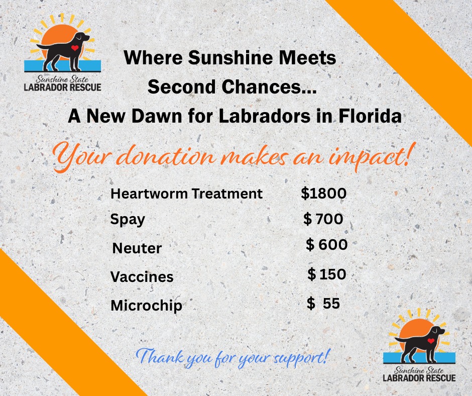 💛 🩵🧡💙EVERY DOLLAR HELPS... - Sunshine State Labrador Rescue | Facebook
