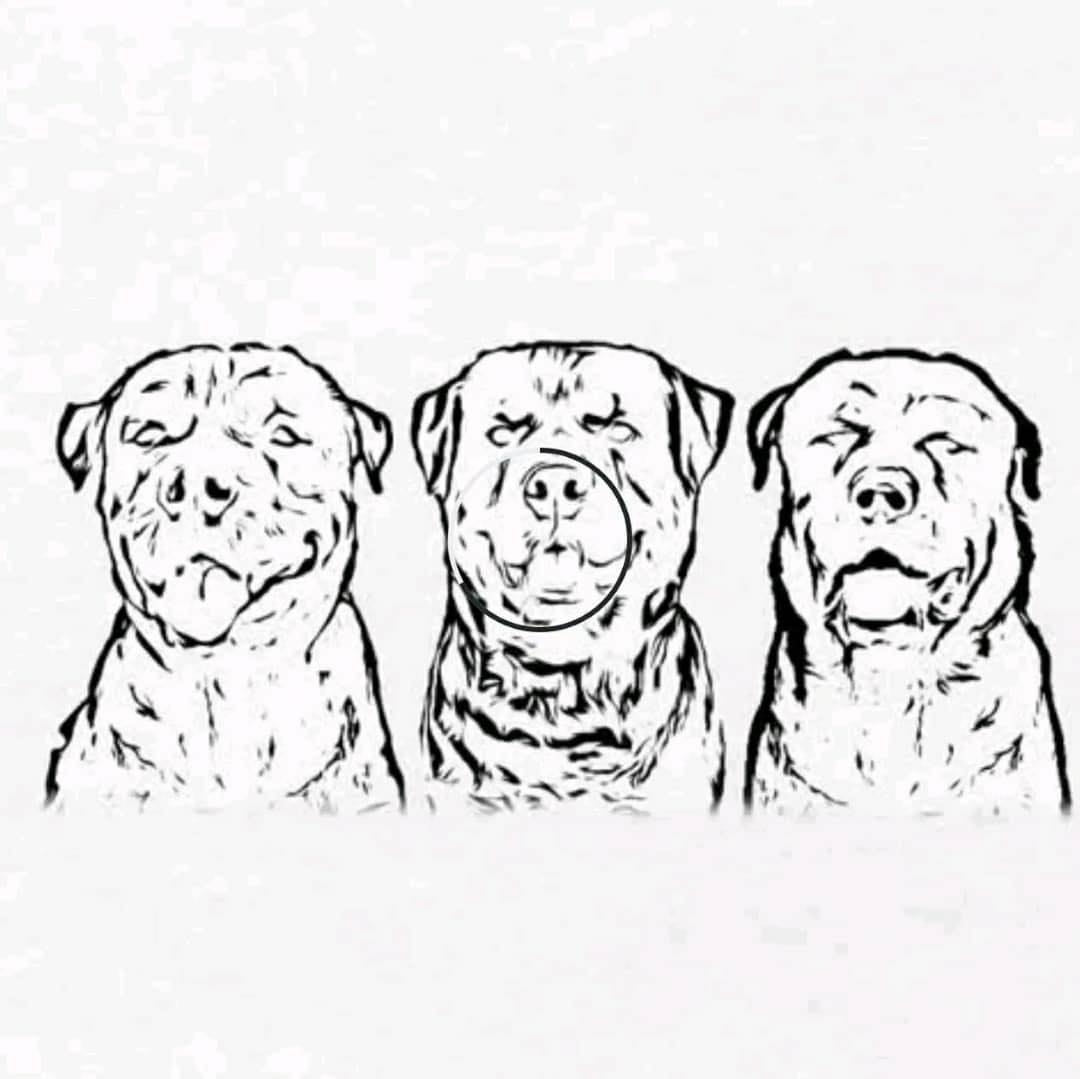 It's going to be a good day #rottweilers #rottweiler # ...