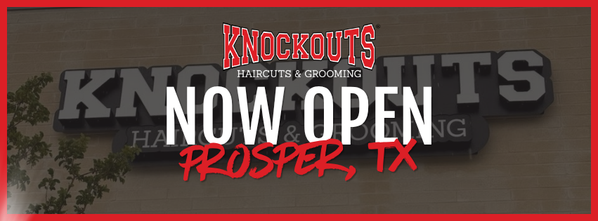Knockouts Haircuts & Grooming, Prosper, TX | Prosper TX