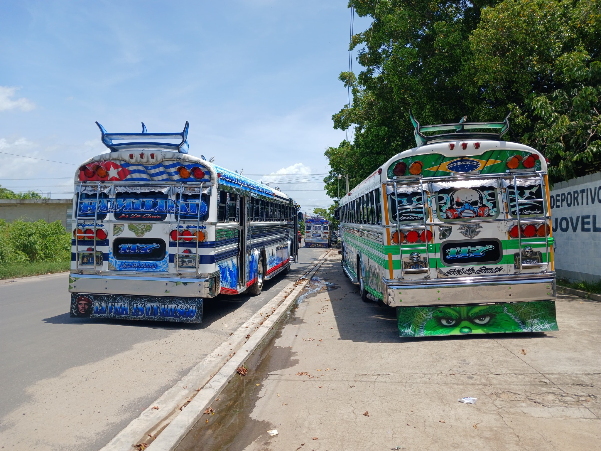 Buses Otro Level Slv