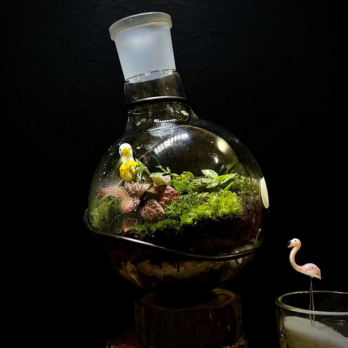 Terrarium Lab