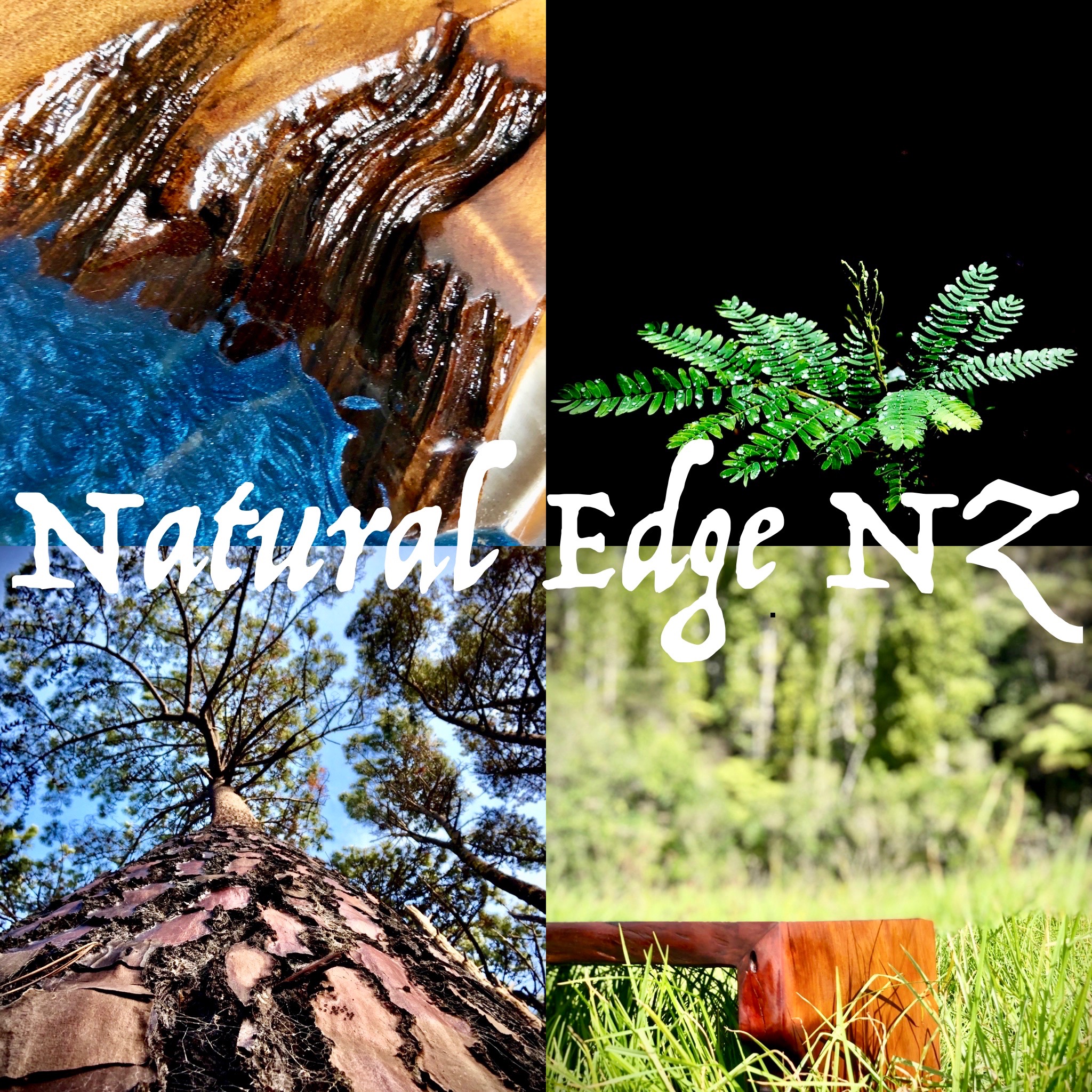 Wood identification, what wood is that, for woodworkers and DIYers ...