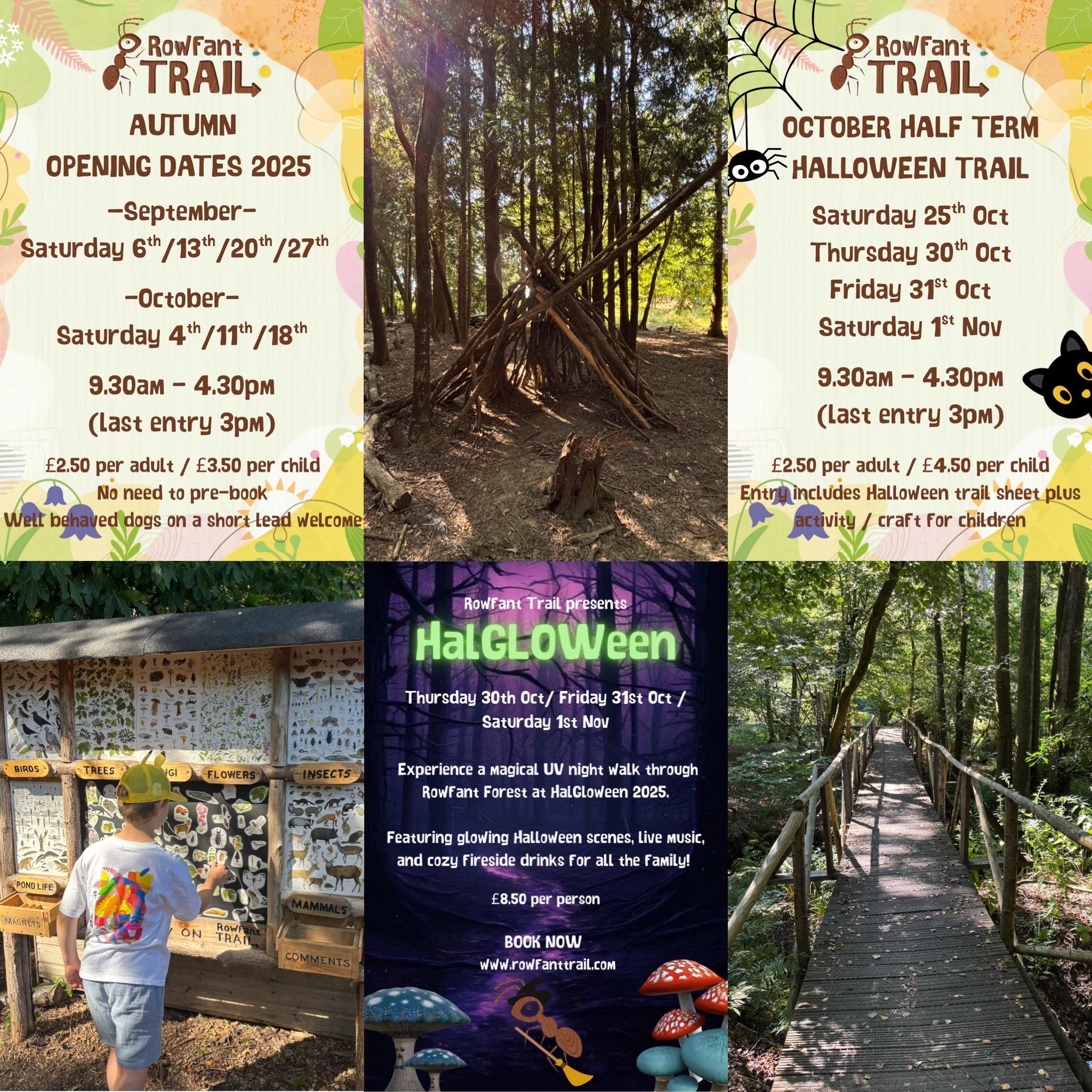 Brighton Parents Events group | Check out our flyer for October half ...