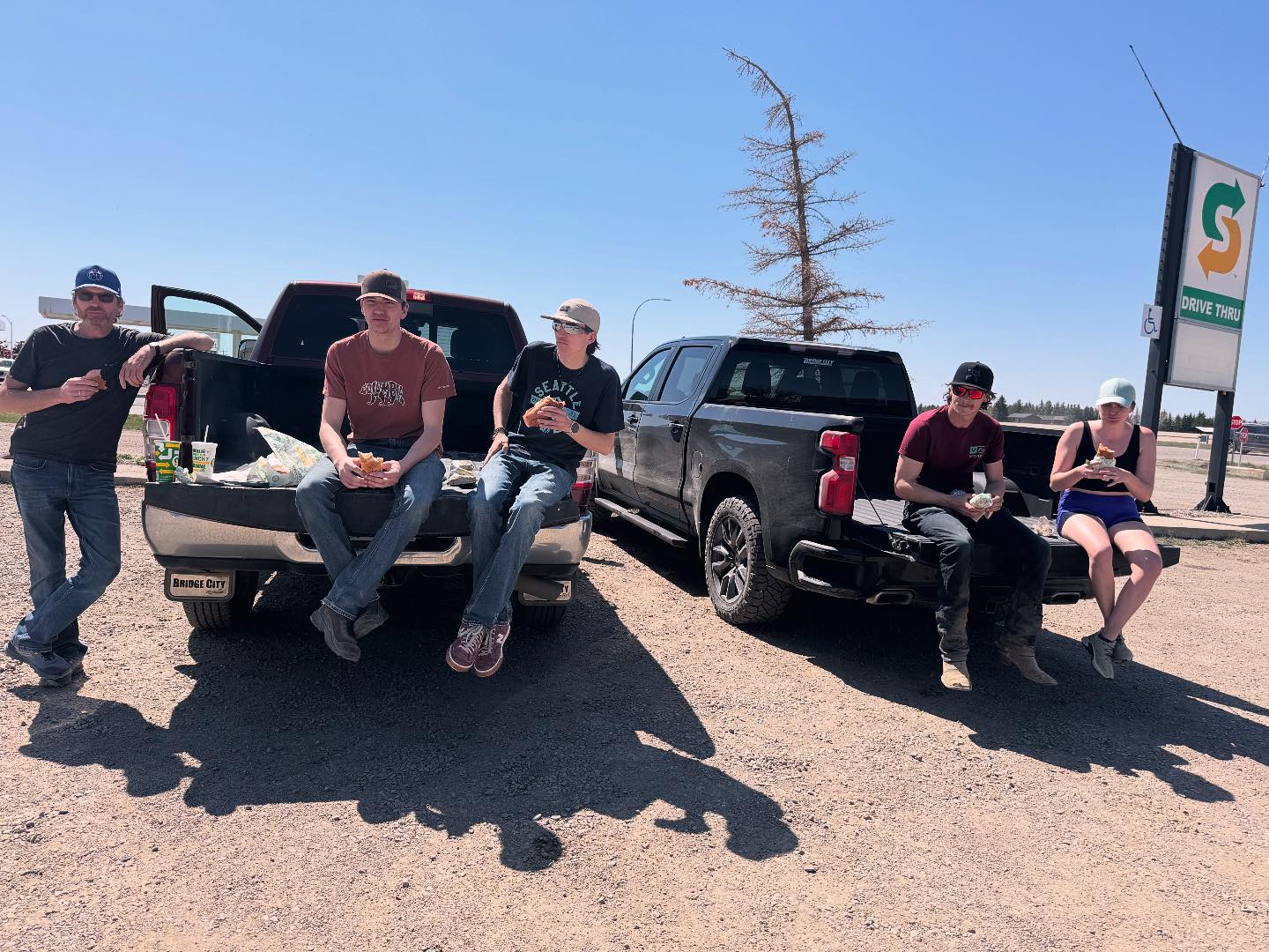 Blue Rein Ranch Counselling & Animal Assisted Therapy | Fort Macleod AB