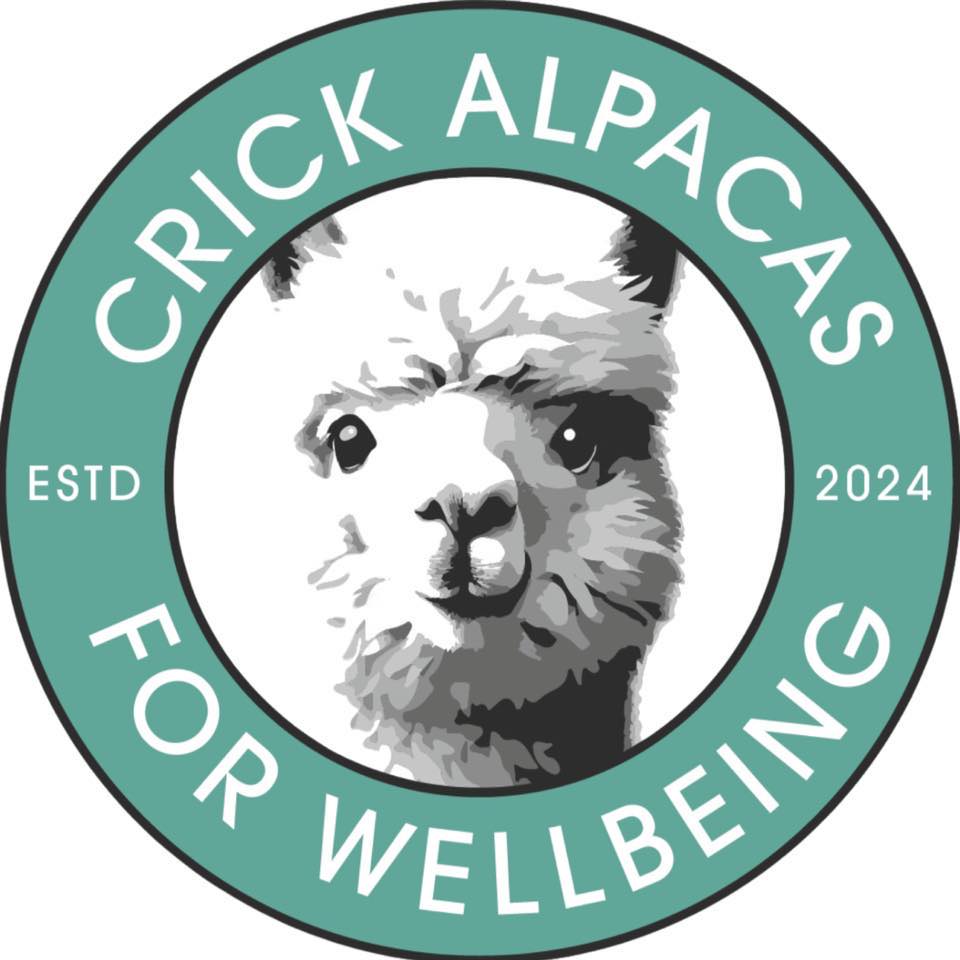 Bit tight in the bath but enjoyable all the same 😄🤣 | Crick Alpacas for ...